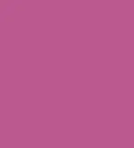 FireShot Capture 308 - #bc598f.png