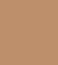 FireShot Capture 354 - #be8e6a.png