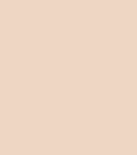 #eed5c1.png