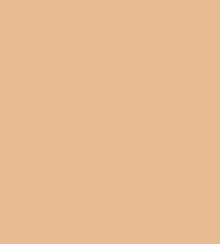 #e5bb92.png