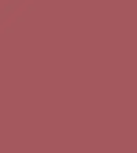 #a5585e.png