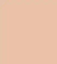#e9c2a8.png