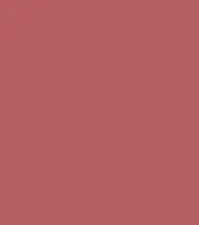 #b55f60.png