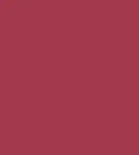 #a2394d.png