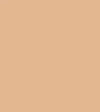 #e4b78f.png