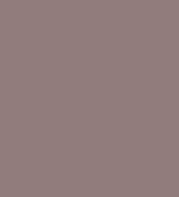 #917d7c.png