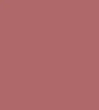 #ae686a.png