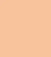 FireShot Capture 042 - #f8c39b.png