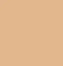 FireShot Capture 182 - #e1b78c.png