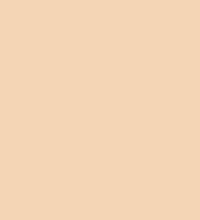 #f4d5b4.png