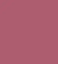 #ad5c6f.png