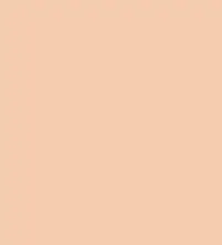 #f4ccae.png