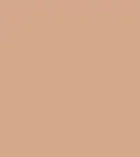 #d4a68b.png