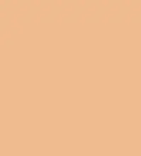FireShot Capture 206 - #efbc8f.png