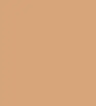 #d6a479.png
