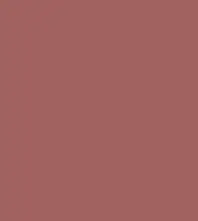 #a1615f.png