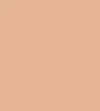 #e4b595.png