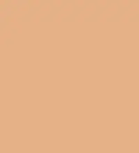 #e5b086.png