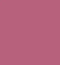 #b8607c.png