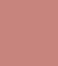 #c6847c.png