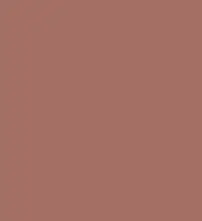 FireShot Capture 169 - #a36f63.png