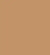 #c29267.png