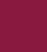FireShot Capture 312 - #891b40.png