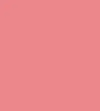 #ec878c.png