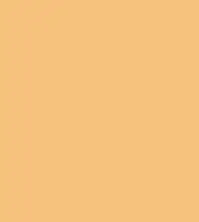 #f6c17c.png