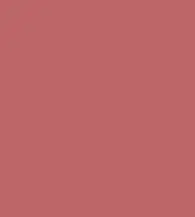 FireShot Capture 322 - #bd6667.png