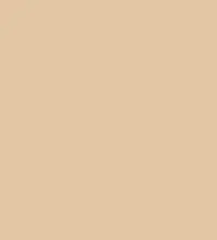 #e2c5a4.png
