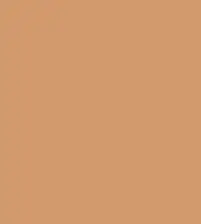 FireShot Capture 213 - #d2996d.png