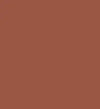 #9a5746.png