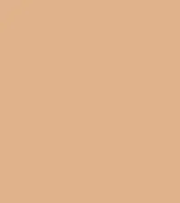 #dfb28b.png