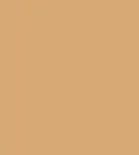 #d7a975.png