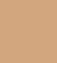 #d2a67f.png