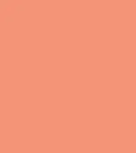 #f49377.png