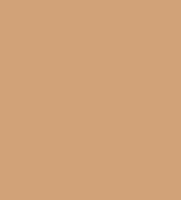 #d2a277.png