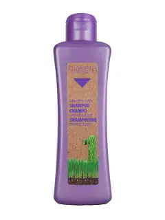 SALERM BIOKERA GRAPEOLOGY SHAMPOO 300ML