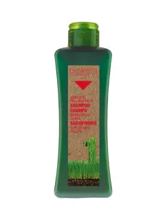 SALERM BIOKERA SHAMPOO ESPECÍFICO ANTICAÍDA 300ML